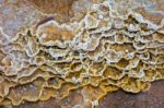 View Of Mammoth Hot Springs Stock Photo