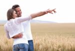 Loving Couple In Field Stock Photo