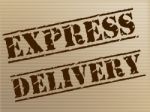 Express Delivery Means High Speed And Action Stock Photo