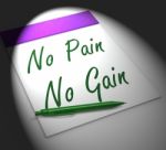 No Pain No Gain Notebook Displays Hard Work Retributions And Mot Stock Photo