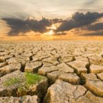 Drought Land Under The Evening Sunset Stock Photo