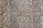 Background Of Black Brown Spotted Animal Fur Stock Photo