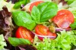 Fresh Salad Stock Photo