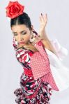 Flamenco Dancer In Beautiful Dress Stock Photo