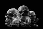 Skull On A Black Background Stock Photo