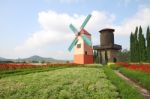 Dutch Windmill And Water Tank On Little Flower Garden Stock Photo