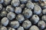 Blueberries Stock Photo