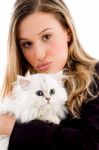 Woman Holding White Kitten Stock Photo