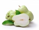 Guava (tropical Fruit) On White Background Stock Photo