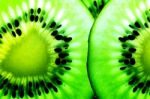 Kiwi Fruit Stock Photo