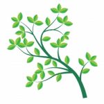 Isolated Green Branch And Leaf- Illustration Stock Photo