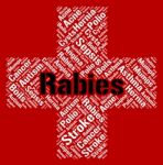 Rabies Word Indicates Poor Health And Affliction Stock Photo