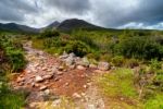 Mountain Stream In Ring Of Kerry Stock Photo