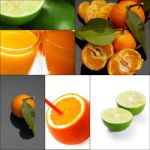 Citrus Fruits Collage Stock Photo