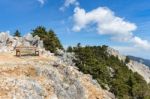 Bench On Rocky Mountain With Trees And Blue Sky Stock Photo