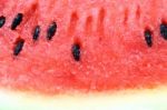 Watermelon Stock Photo