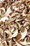 Dried Mushrooms Stock Photo