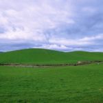 Farming Field In Tasmania, Australia Stock Photo