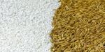 Background From Pile Of Paddy Rice And And Rice Seed Stock Photo