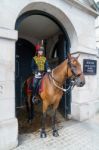 London - July 30 : Kings Troop Royal Horse Artillery In Whitehal Stock Photo