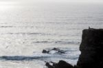 Lonely Man On Cliff Stock Photo