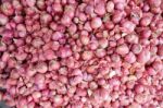 Red Onions Stock Photo