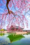 Gyeongbokgung Palace With Cherry Blossom In Spring,south Korea Stock Photo