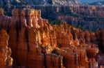 Sun Kissed Hoodoos And Pine Trees In Bryce Canyon Stock Photo