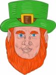 Leprechaun Head Front Drawing Stock Photo