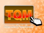 Tqm Button Indicates Total Quality Management And Control Stock Photo