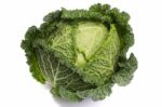 Fresh Savoy Cabbage Stock Photo