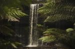 Russell Falls In Mount Field National Park Stock Photo