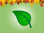 Nature Leaves Indicates Earth Day And Countryside Stock Photo