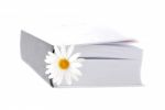 Summer Belletristic. Book And Daisy As A Bookmark Stock Photo