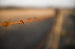 Rusted Sharp Timber And Metal Barb Wire Fence Stock Photo