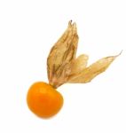 Fresh Cape Goosebery, Physalis, On White Background Stock Photo