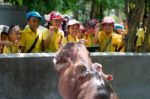 Primary Students Visit The Zoo, In The Jul 27, 2016. Bangkok Thailand Stock Photo