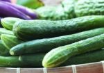 Organic Cucumbers Stock Photo