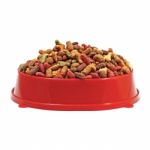 Multicolored Dry Cat Or Dog Food In Red Bowl Isolated On White B Stock Photo