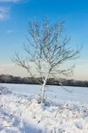 Winter Scene In East Grinstead Stock Photo