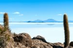 Salt Lake - Salar De Uyuni In Bolivia Stock Photo