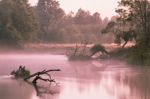 Foggy River In The Morning Stock Photo