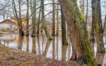 Flooded Creek In Early Spring Stock Photo