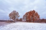 First Snow In The Autumn Forest. Fall Colors On The Trees. Autum Stock Photo