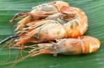 Pile Of Shrimp Grilled On Banana Leaf Stock Photo