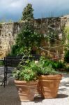 Potted Plants In A Restaurant In Pienza Stock Photo