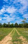 Off Road Track Stock Photo