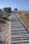 Beach Walkway Stock Photo