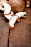 Shiitake Mushrooms Stock Photo