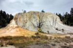 Mammoth Hot Springs Stock Photo